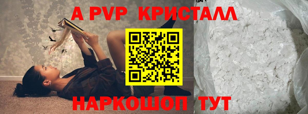 A PVP СК Ржев