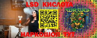 индика Пугачёв