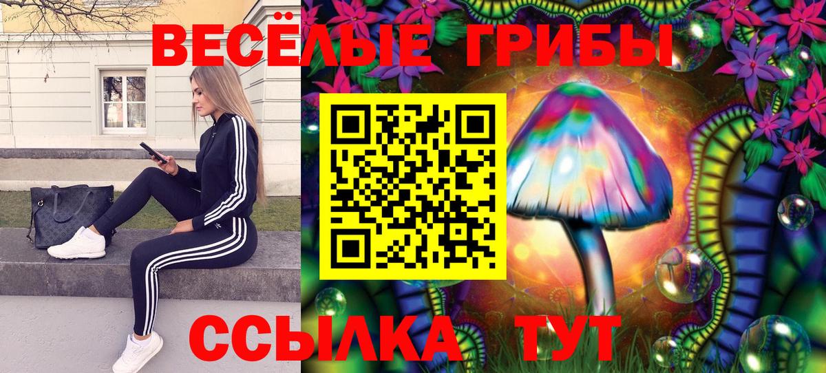 Ржев  Галлюциногенные грибы ЛСД  Вход с VPN 
