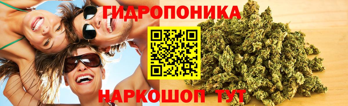 Бошки Шишки Bruce Banner  Вход с VPN  Каннабис THC 21%  Ржев 